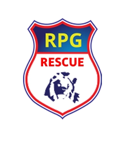 RPG Rescue Division